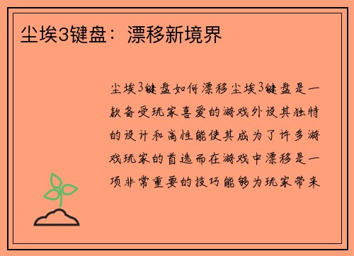 尘埃3键盘：漂移新境界